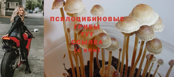apvp Верхнеуральск